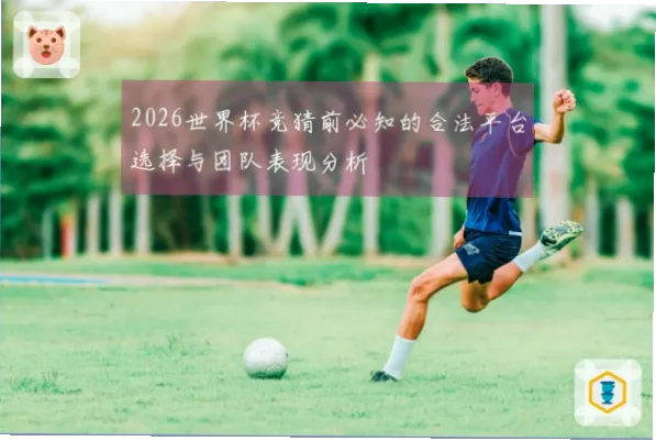2026世界杯竞猜合法平台有哪些？