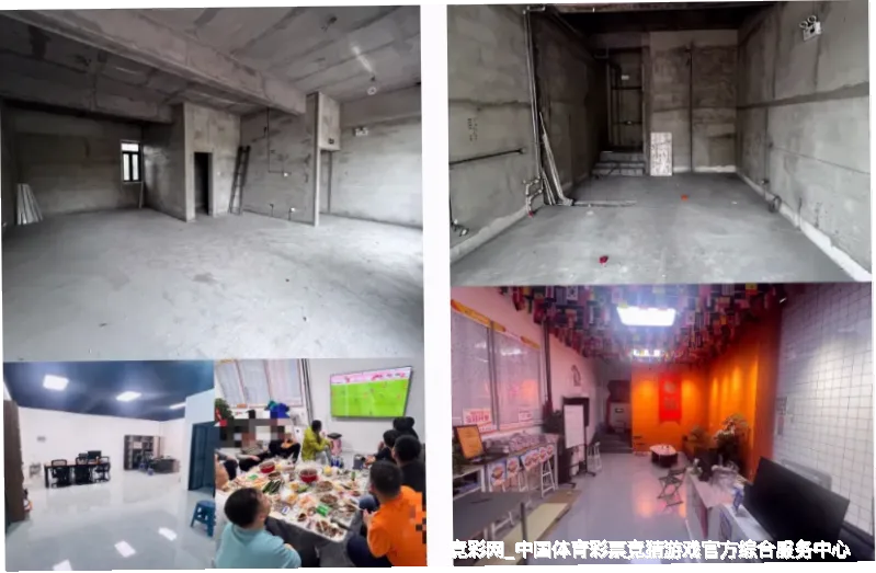 始于热爱，成于专业